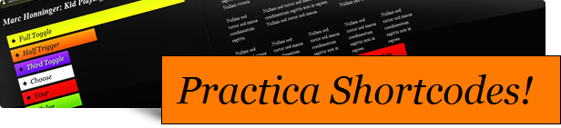 Practica Portfolio - Sophisticated WordPress Theme - 4